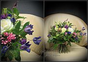 www.floristic.ru - .       ...