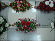 www.floristic.ru - Флористика. Стас Зубов