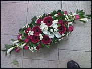 www.floristic.ru - .  