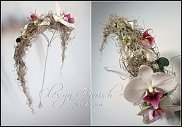 www.floristic.ru - .  .