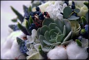 www.floristic.ru - .  .