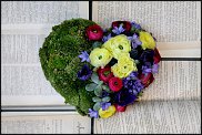 www.floristic.ru - .   