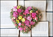 www.floristic.ru - .   