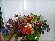 www.floristic.ru - .       ...