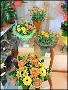 www.floristic.ru - .       ...