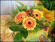 www.floristic.ru - .       ...