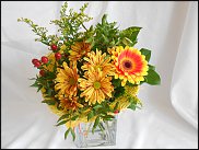 www.floristic.ru - .       ...