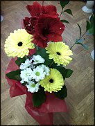 www.floristic.ru - .       ...