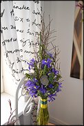 www.floristic.ru - .    -    ...