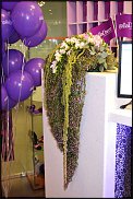 www.floristic.ru - .   