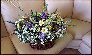 www.floristic.ru - .  ....   .