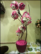 www.floristic.ru - .      .