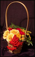 www.floristic.ru - .   1 