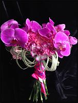 www.floristic.ru - . -