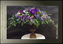 www.floristic.ru - .  