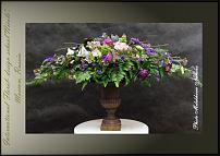 www.floristic.ru - .  