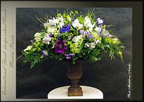 www.floristic.ru - .  