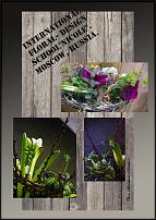 www.floristic.ru - .  