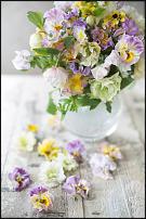 www.floristic.ru - . .  .