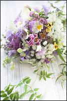 www.floristic.ru - . .  .