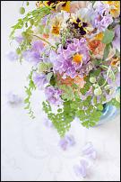 www.floristic.ru - . .  .