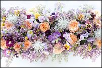 www.floristic.ru - . .  .