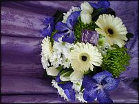 www.floristic.ru - .   