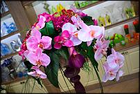 www.floristic.ru - .      .