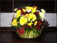 www.floristic.ru - .  .