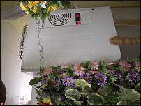 www.floristic.ru - Флористика. Продам холодильную камеру для цветов