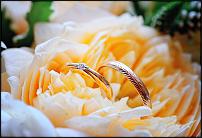 www.floristic.ru - Флористика. Народная свадьба