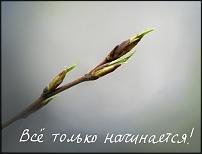 www.floristic.ru - Флористика. 8 марта