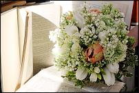 www.floristic.ru - .  .