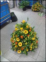 www.floristic.ru - . !!!!!