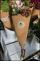 www.floristic.ru - .       ...