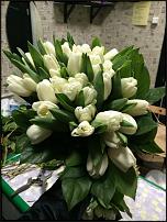 www.floristic.ru - .  !