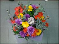 www.floristic.ru - .  !