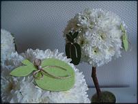 www.floristic.ru - . !!!!!