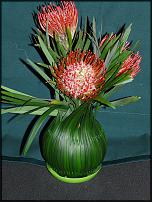 www.floristic.ru - .  - 