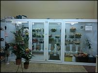 www.floristic.ru - .  