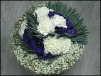 www.floristic.ru - .   ""