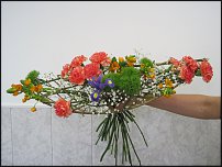 www.floristic.ru - .   ""