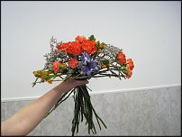 www.floristic.ru - .   ""