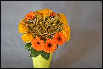 www.floristic.ru - . -  