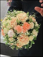 www.floristic.ru - .   ""