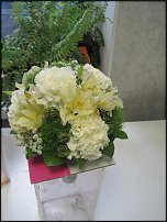 www.floristic.ru - .   ""