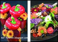 www.floristic.ru - . !!!!!