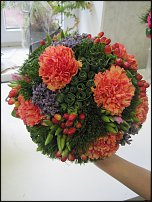 www.floristic.ru - .   ""