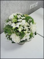 www.floristic.ru - .   ""