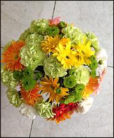 www.floristic.ru - .       ...